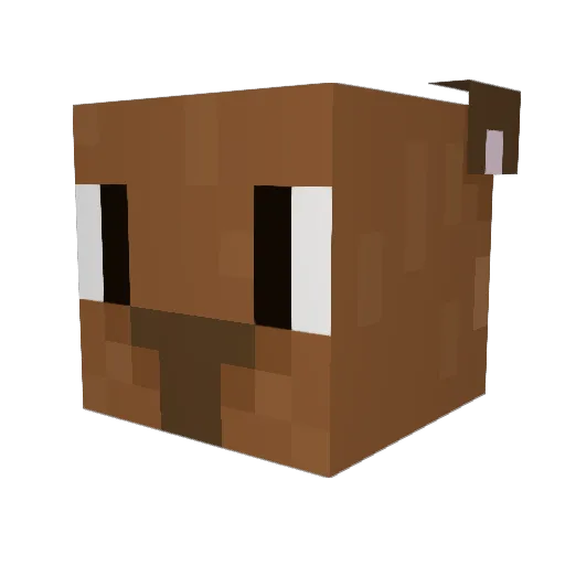 R4N1 Minecraft avatar head, 3D render
