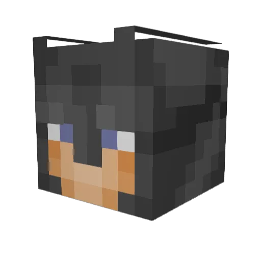 R4N63R Minecraft avatar head, 3D render
