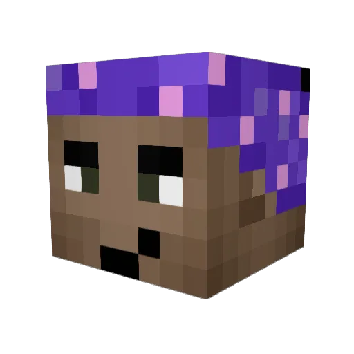 R4NEE Minecraft avatar head, 3D render