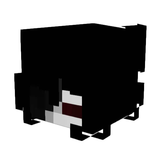 R4NS0MW4R3 Minecraft avatar head, 3D render