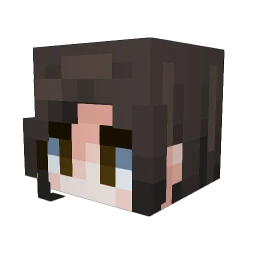 R4Z0R6580 Minecraft avatar head, 3D render