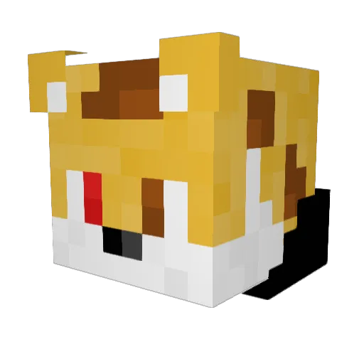 R4dsMC Minecraft avatar head, 3D render