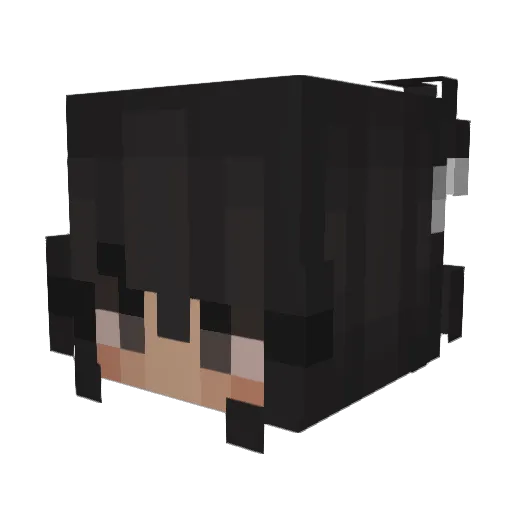 R4e__ Minecraft avatar head, 3D render