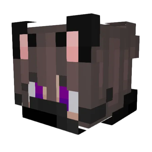 R4f506 Minecraft avatar head, 3D render