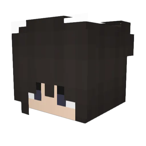 R4fe_ Minecraft avatar head, 3D render