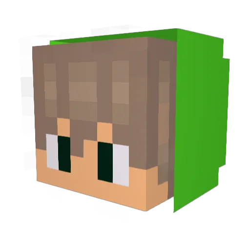 R4ig1s Minecraft avatar head, 3D render