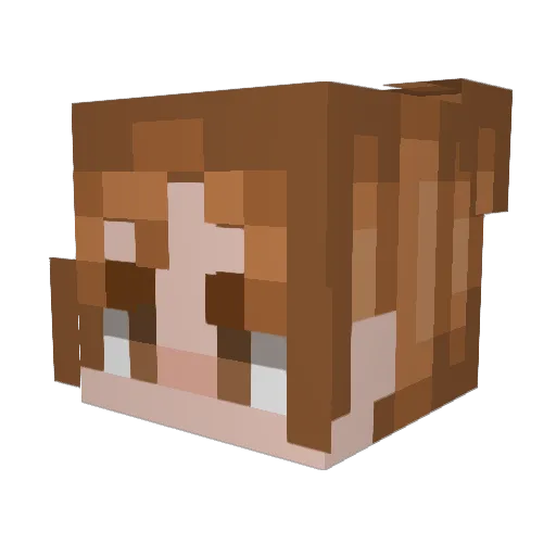 R4inwalker Minecraft avatar head, 3D render
