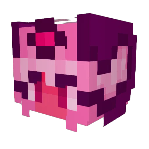 R4ki Minecraft avatar head, 3D render