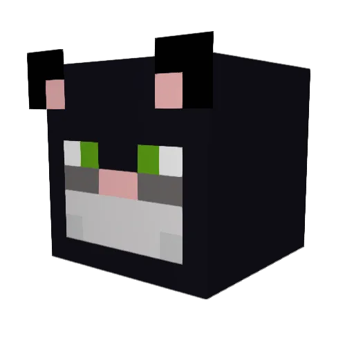 R4nd0mHum4n Minecraft avatar head, 3D render