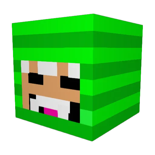 R4ppen Minecraft avatar head, 3D render