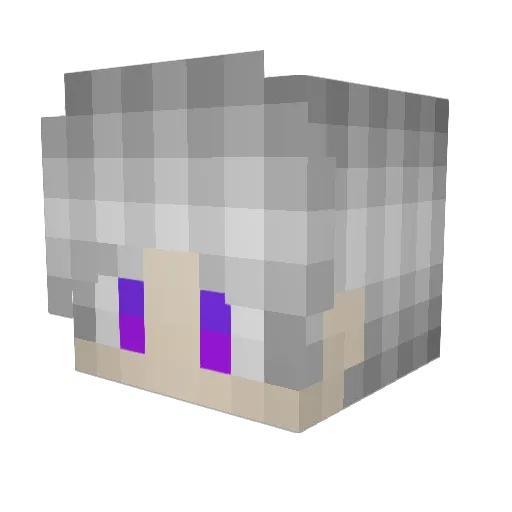 R4ven4 Minecraft avatar head, 3D render