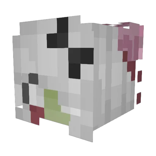 R4vynn777 Minecraft avatar head, 3D render