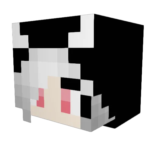 R4xsqs Minecraft avatar head, 3D render