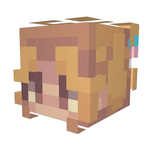R5by5 Minecraft avatar head, 3D render