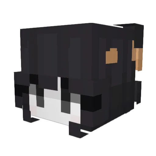R5x_ Minecraft avatar head, 3D render