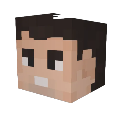 Minecraft-Avatar von R6Anarchy: Kopf als 3D-Render