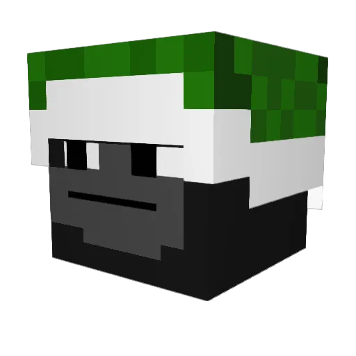 R8ggy Minecraft avatar head, 3D render