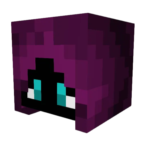 RA1nDM Minecraft avatar head, 3D render