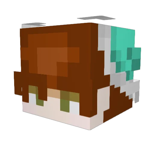 RACAZA Minecraft avatar head, 3D render