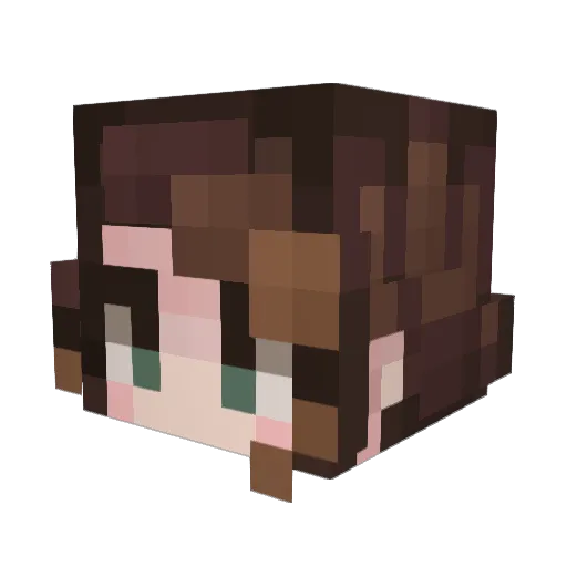 RACCOONN18 Minecraft avatar head, 3D render