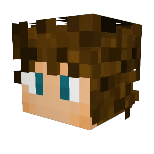RACG_2000 Minecraft avatar head, 3D render