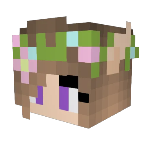 RACHELRAMBO Minecraft avatar head, 3D render