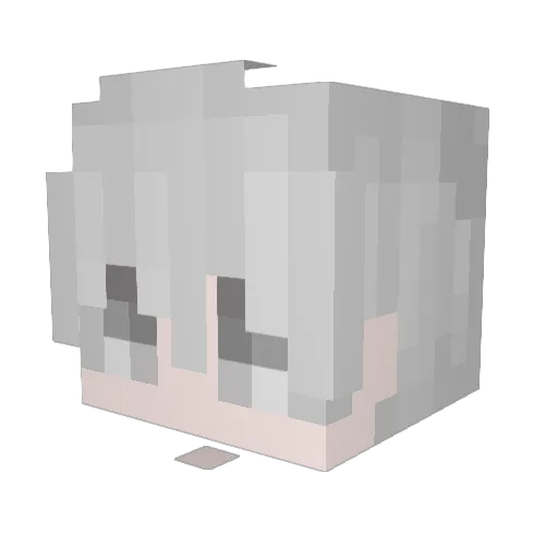 RACOONEX Minecraft avatar head, 3D render