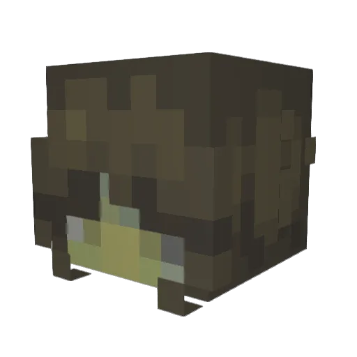RADAZEL Minecraft avatar head, 3D render