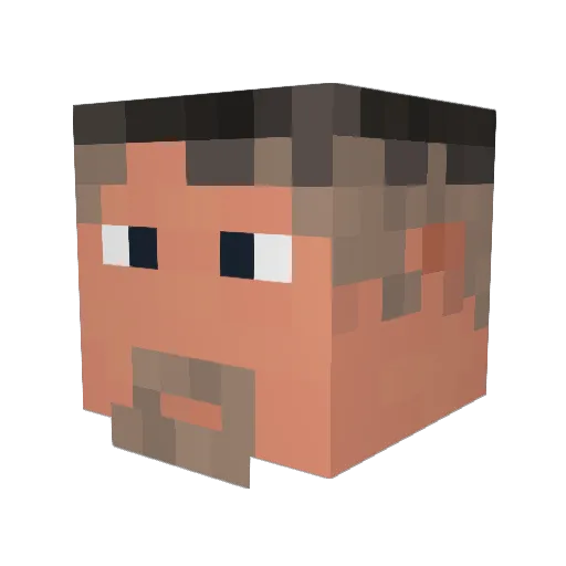 RADdoc Minecraft avatar head, 3D render