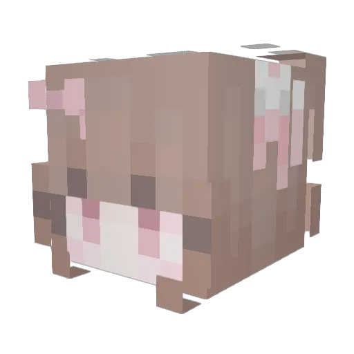 RAExRAE294 Minecraft avatar head, 3D render