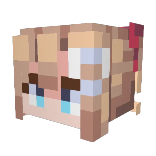 RAFASATION Minecraft avatar head, 3D render