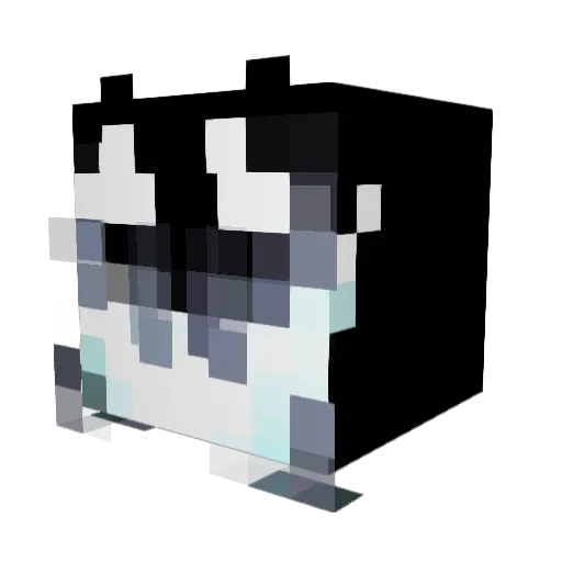 RAFEt2 Minecraft avatar head, 3D render
