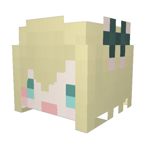 RAGEDCELL3251 Minecraft avatar head, 3D render