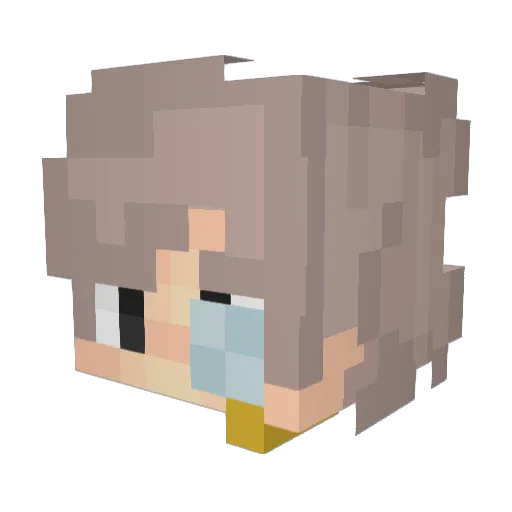 RAGINGWOLFPLAKKA Minecraft avatar head, 3D render