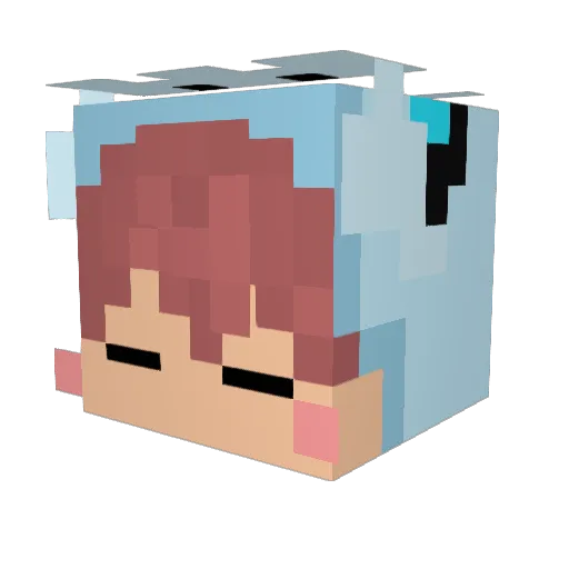 RAGMO00 Minecraft avatar head, 3D render