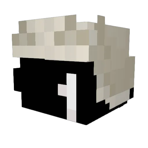 RAGNAROK016 Minecraft avatar head, 3D render
