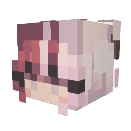 RAGNAROK_Chris Minecraft avatar head, 3D render