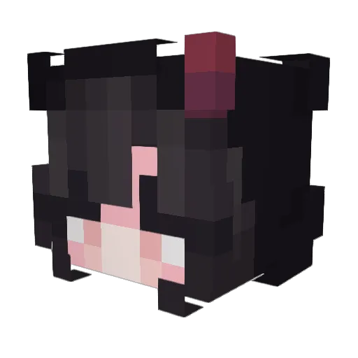 RAHYO_ Minecraft avatar head, 3D render