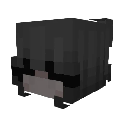 RAIDISMBEAMS Minecraft avatar head, 3D render