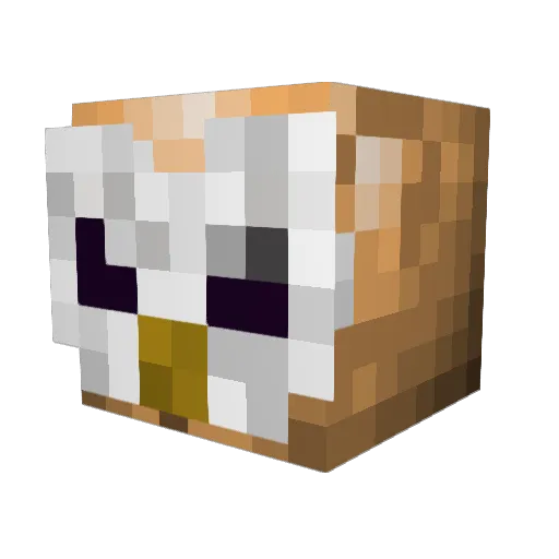 RAIESCHAN Minecraft avatar head, 3D render