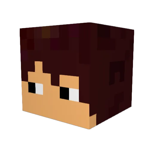 RAIK1234567 Minecraft avatar head, 3D render