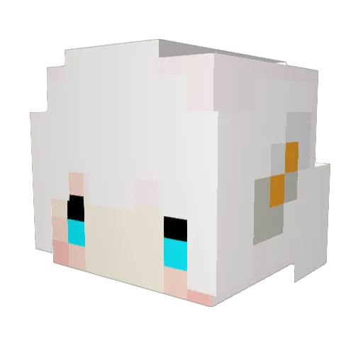 RAINDAY_WHITE Minecraft avatar head, 3D render