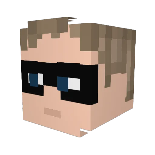 RAINER8864 Minecraft avatar head, 3D render