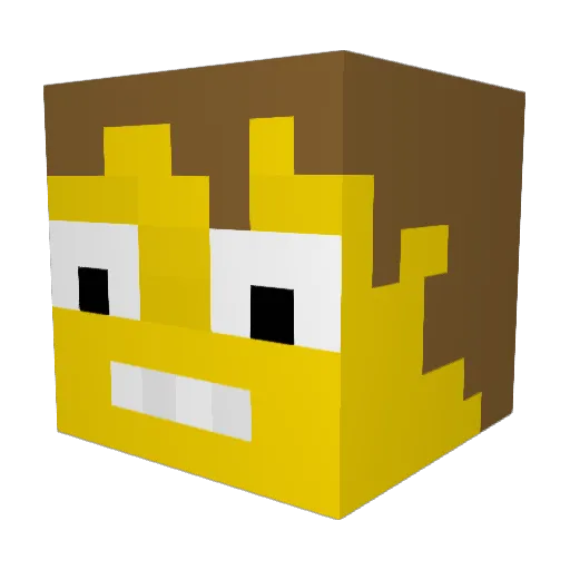RAINWORLDKING Minecraft avatar head, 3D render