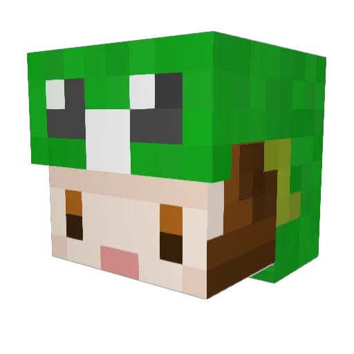 RAIPATI Minecraft avatar head, 3D render