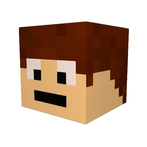 RAJBIN1992 Minecraft avatar head, 3D render