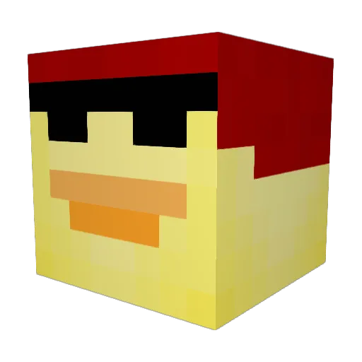 RAJMEER Minecraft avatar head, 3D render