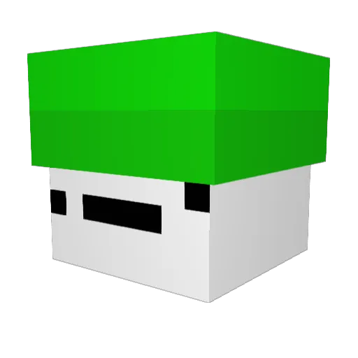 RAKOER Minecraft avatar head, 3D render