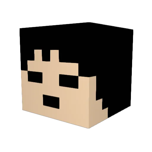 RAKU0083 Minecraft avatar head, 3D render