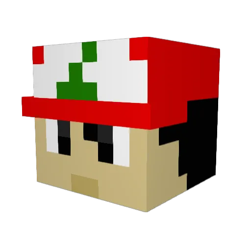 RAND0M_SHOOTING Minecraft avatar head, 3D render